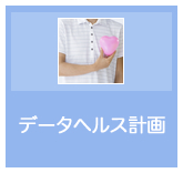 データヘルス計画